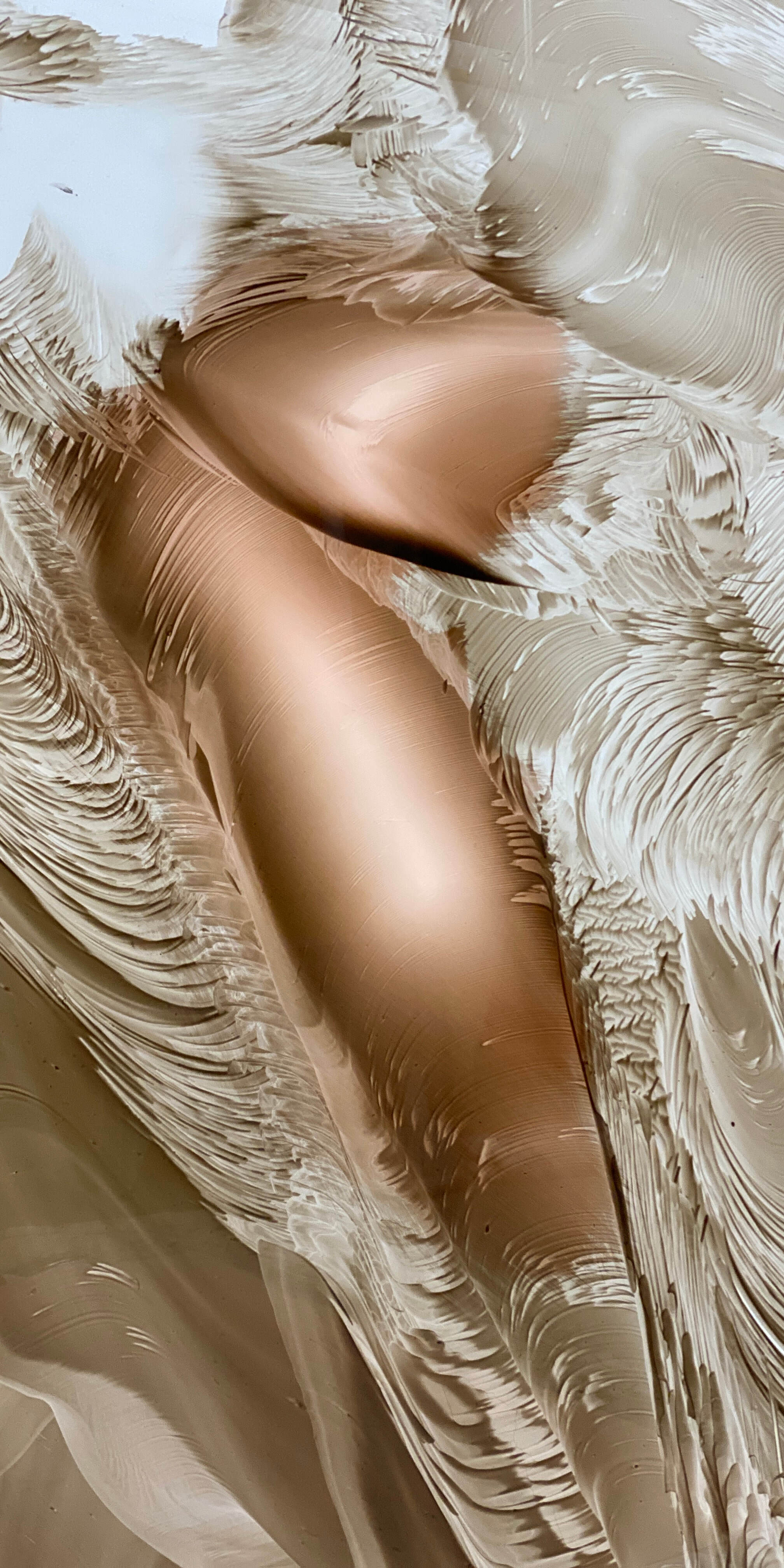 image00003